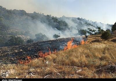 وقوع آتش‌سوزی گسترده در مراتع روستاهای سروآباد- فیلم فیلم استان تسنیم | Tasnim