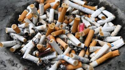 سیگار قاتل انسان و محیط زیست / مرگ ۸ میلیون نفر در سال؛ قطع سالانه ۶۰۰ میلیون درخت