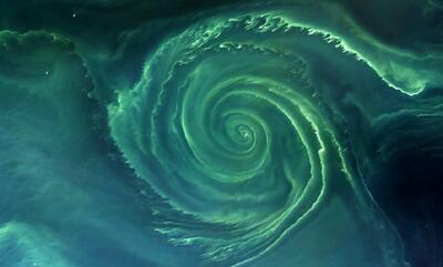 تصویر حیرت‌انگیز «گرداب مرگبار باکتری» در دریای بالتیک