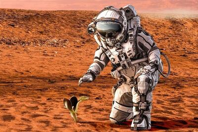 گوجه و هویج در خاک «مریخی» چقدر رشد می‌کنند؟