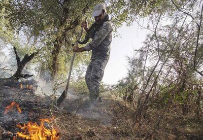 عکس/ مهار آتش سوزی در پارک ملی کرخه