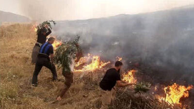 آتش‌سوزی به ۲.۵ هکتار از باغات زیتون سرپل ذهاب خسارت زد