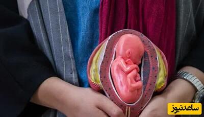 هزینه میلیاردی بانوان پولدار برای مادر شدن بدون بارداری!