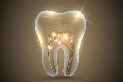 اولین داروی رشد مجدد دندان به زودی روی انسان آزمایش می‌شود - زومیت