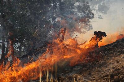 آتش در جنگل‌ها و مراتع «شلال‌دون» در کهگیلویه و بویراحمد