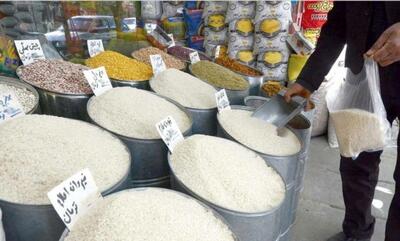 سه برابر نیاز کشور برنج وارد کردند تا برنج ایرانی نابود شود