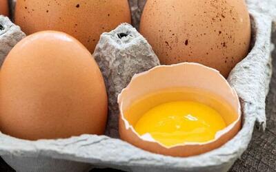 قیمت جدید تخم مرغ امروز ۱۲ خرداد ۱۴۰۳+جدول | اقتصاد24