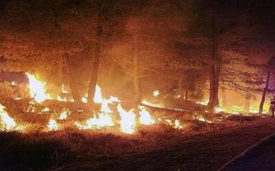آتش‌سوزی گسترده در جنگل های کهگیلویه