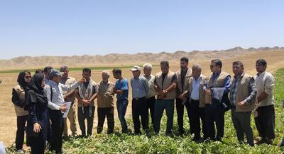 پیشبرد اهداف نظام نوین ترویج کشاورزی در خوزستان