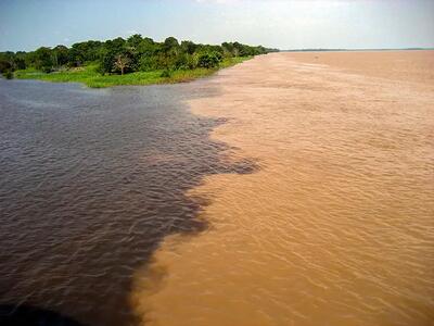 صحنه‌ای نادر از ملاقات رودخانه آمازون با رودخانه ریو نگرو در برزیل + فیلم