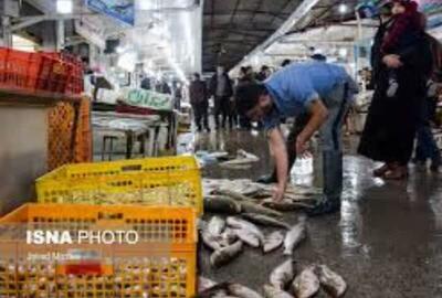 عرضه ماهی در ۶ نقطه شهر بندرعباس جانمایی شد