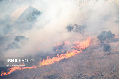 آتش‌سوزی در عرصه‌های طبیعی سه شهرستان استان کهگیلویه و بویراحمد