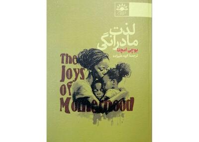 «لذت مادرانگی» در کتابفروشی‌ها