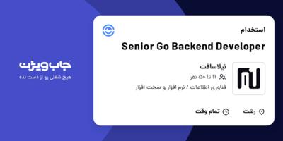 استخدام Senior Go Backend Developer در نیلاسافت