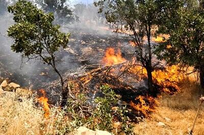 آتش‌سوزی در عرصه‌های طبیعی سه منطقه در کهگیلویه بویر احمد