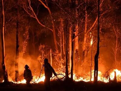 فوری: آتش سوزی ۵۰ هکتار از جنگل‌ها و مراتع منطقه گردشگری کهگیلویه و بویراحمد