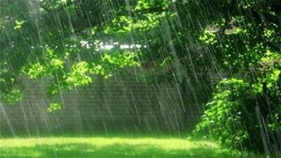 بارش  پراکنده باران در گیلان