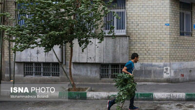 وزش باد شدید در نیمه جنوبی و غربی تهران/ هوا فردا خنک‌تر می‌شود