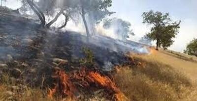 مهار آتش‌سوزی مراتع دامنه‌های منطقه «آبنارو» شهرستان کهگیلویه