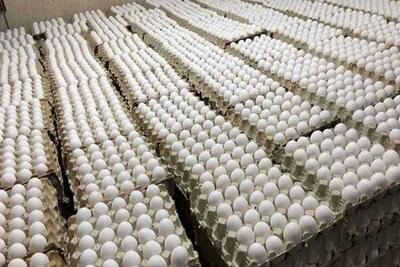 هر کیلو تخم مرغ چند؟