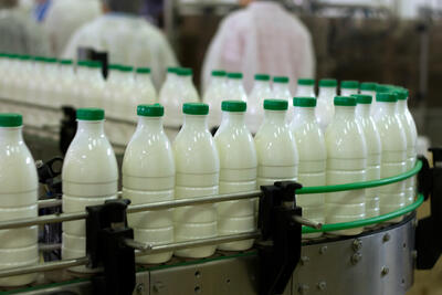 رتبه ایران در تولید شیر