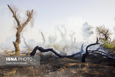آتش‌سوزی در اراضی منطقه حفاظت‌شده «هفت شهیدان»