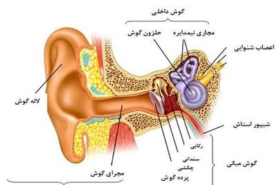 برگزاری دومین کنگره ملی «تازه های اختلالات شنوایی و تعادل» در رشت
