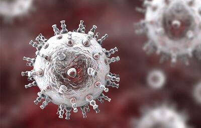 ارائه یک روش سریع برای جداسازی و تولید ویروس HSV-1 نوترکیب، در سلولهای تخمدان همستر چینی