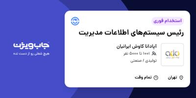 استخدام رئیس سیستم‌های اطلاعات مدیریت در آپادانا کاوش ایرانیان
