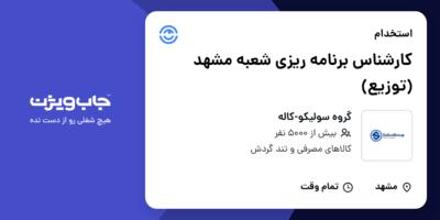 استخدام کارشناس برنامه ریزی شعبه مشهد (توزیع) در گروه سولیکو-کاله