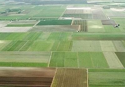 حدنگاری بیش از 9 میلیون هکتار اراضی کشاورزی در کشور - تسنیم
