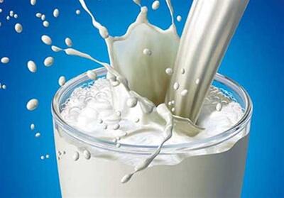 تولید شیرخام تا سال آینده به مرز 15 میلیون تن می‌رسد - تسنیم
