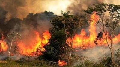 وقوع آتش‌سوزی در جنگل‌های معمولان