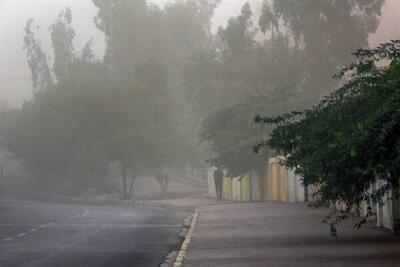 هشدار نارنجی وزش باد شدید در پایتخت | اقتصاد24