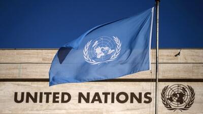 درخواست کارشناسان سازمان ملل از همه کشورها برای به رسمیت شناختن فلسطین