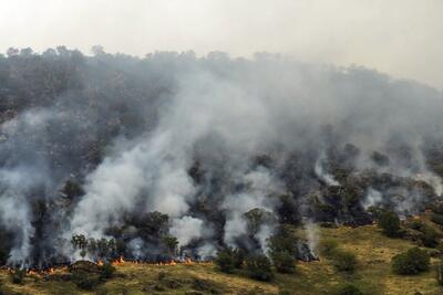 آتش سوزی در مزارع کشاورزی شهرستان چوار