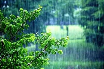 رگبار باران در برخی استان‌ها