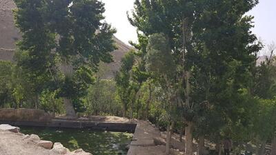 جلوه گری طبیعت سرسبز روستای خنب در دل کویر مرکزی ایران + فیلم