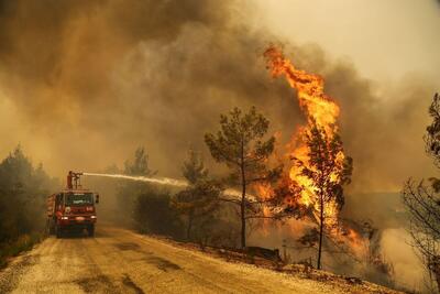 (تصاویر) آتش سوزی در پارک ملی کرخه