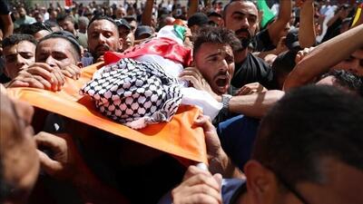 سازمان ملل: ۵۰۰ فلسطینی در کرانه باختری به شهادت رسیده‌اند