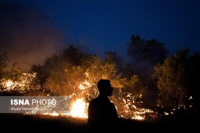 آتش سوزی در پارک ملی کرخه