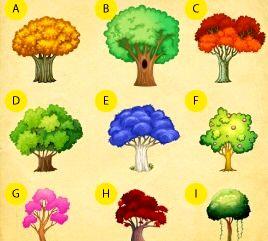 تست شخصیت شناسی/ شما کدام درخت را انتخاب می کنید؟