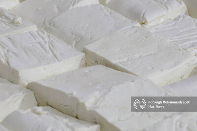 عکس/ روز جهانی پنیر در لیقوان