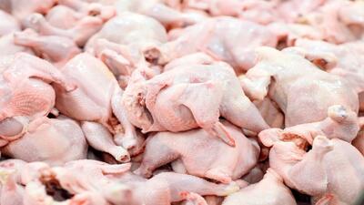 قیمت مرغ بالاخره ثابت شد | قیمت مرغ گرم در بازار امروز کیلویی چند؟