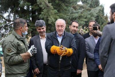 پیام استاندار تهران به مناسبت گرامیداشت هفته ملی محیط زیست