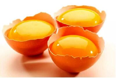 تخم مرغ های اسید فولیک دار  به بازار رسید