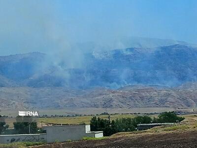 فعال شدن آتش سوزی در جنگل‌های کبیرکوه / آماده‌باش کامل در منطقه