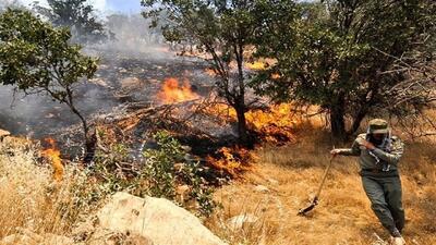 (ویدئو) جنگل‌ها و مراتع کبیرکوه همچنان در آتش می‌سوزد
