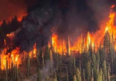 (ویدیو) آخرین وضعیت آتش سوزی دامنه کوه کبیر