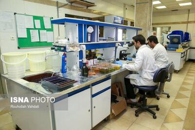 آزمایشگاه مرجع محصولات نانویی کشاورزی در البرز افتتاح می‌شود